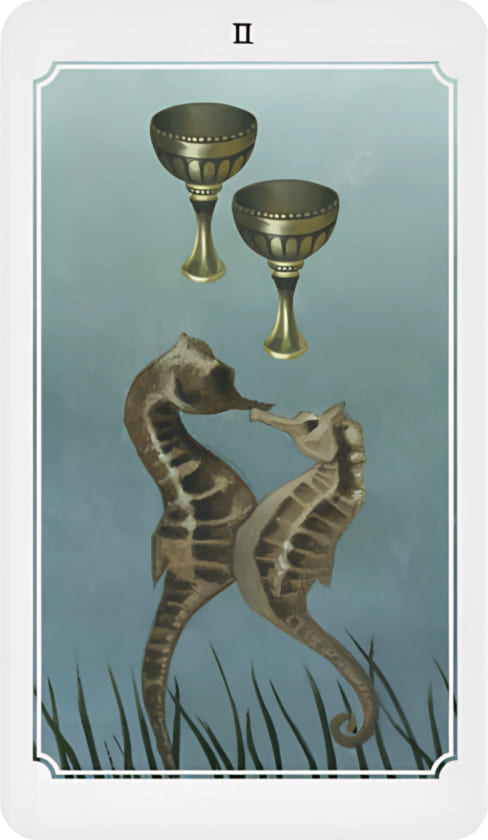 Dos de Copas — Anima Mundi Tarot