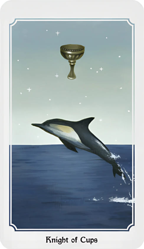 Caballo de Copas — Anima Mundi Tarot