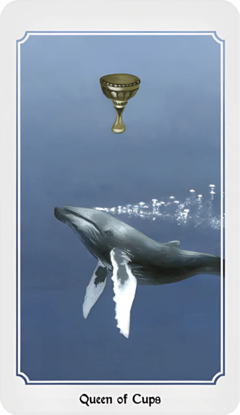 Reina de Copas — Anima Mundi Tarot
