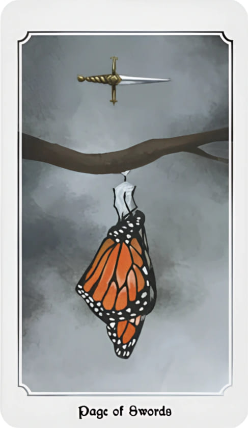 Sota de Espadas — Anima Mundi Tarot