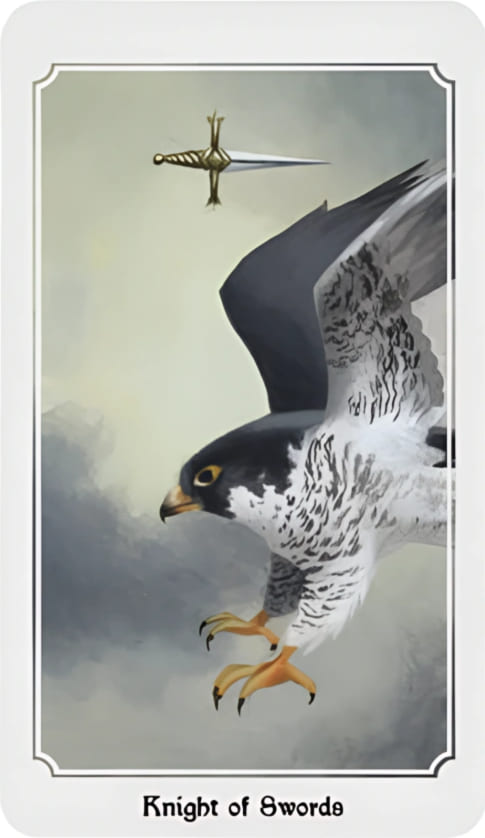 Caballo de Espadas — Anima Mundi Tarot