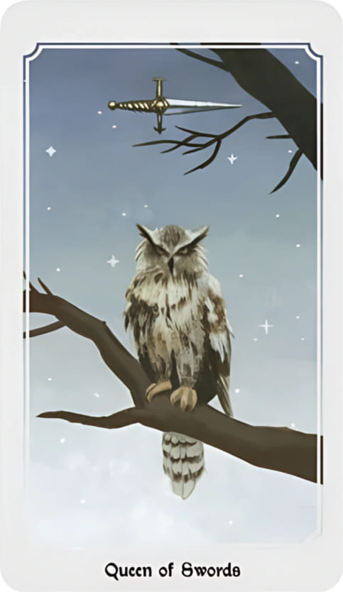 Reina de Espadas — Anima Mundi Tarot