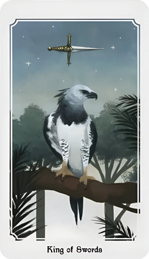 Rey de Espadas — Anima Mundi Tarot
