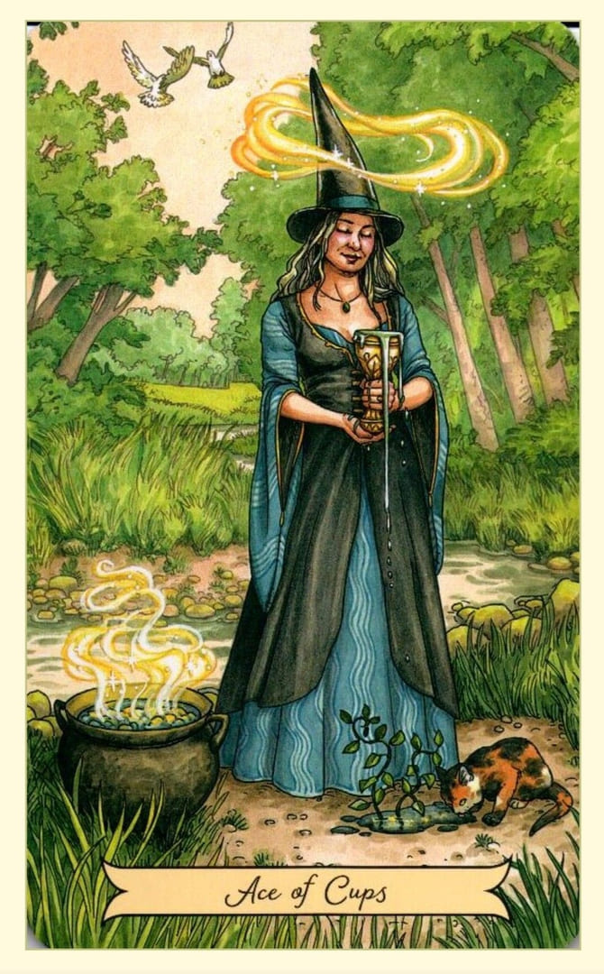 Ace of Cups — Everyday Witch Tarot