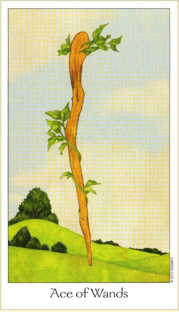 Ace of Wands — Dreaming Way Tarot