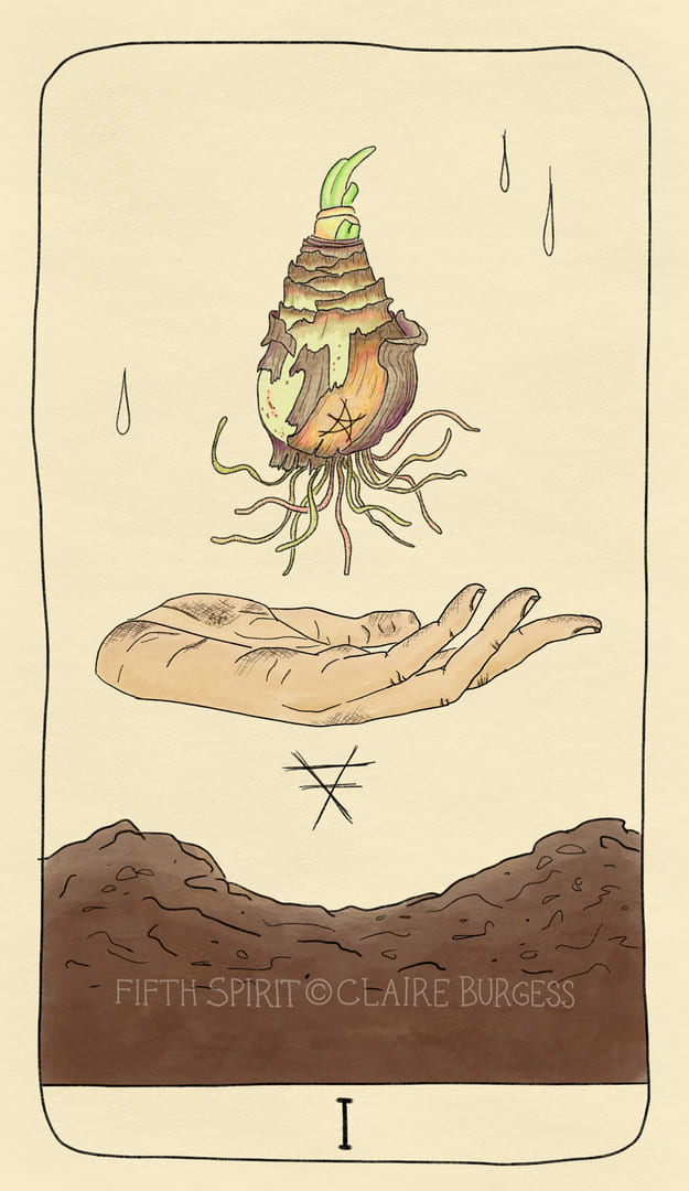 Ace of Pentacles — Fifth Spirit Tarot
