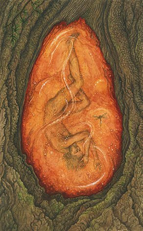 The Hanged Man — Forest of Enchantment Tarot