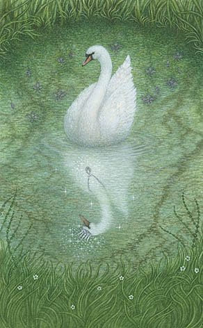 Ace of Cups — Forest of Enchantment Tarot
