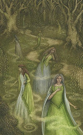 Eight of Cups — Forest of Enchantment Tarot
