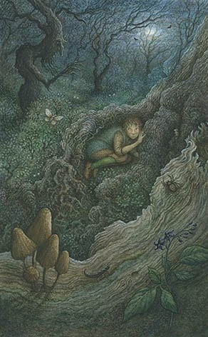 Nine of Swords — Forest of Enchantment Tarot