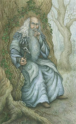 King of Swords — Forest of Enchantment Tarot