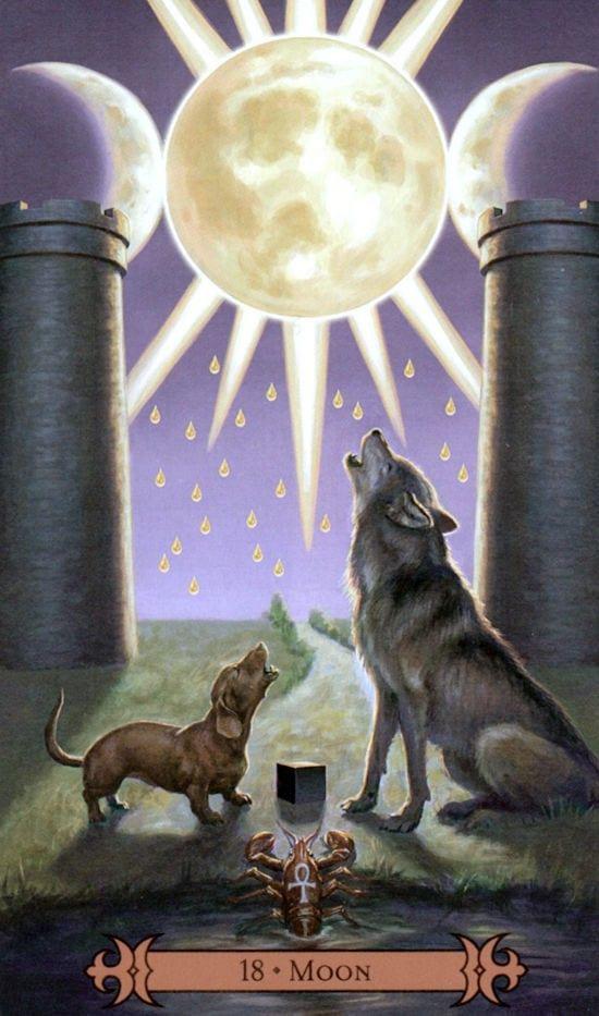 The Moon — Modern Spellcaster's Tarot