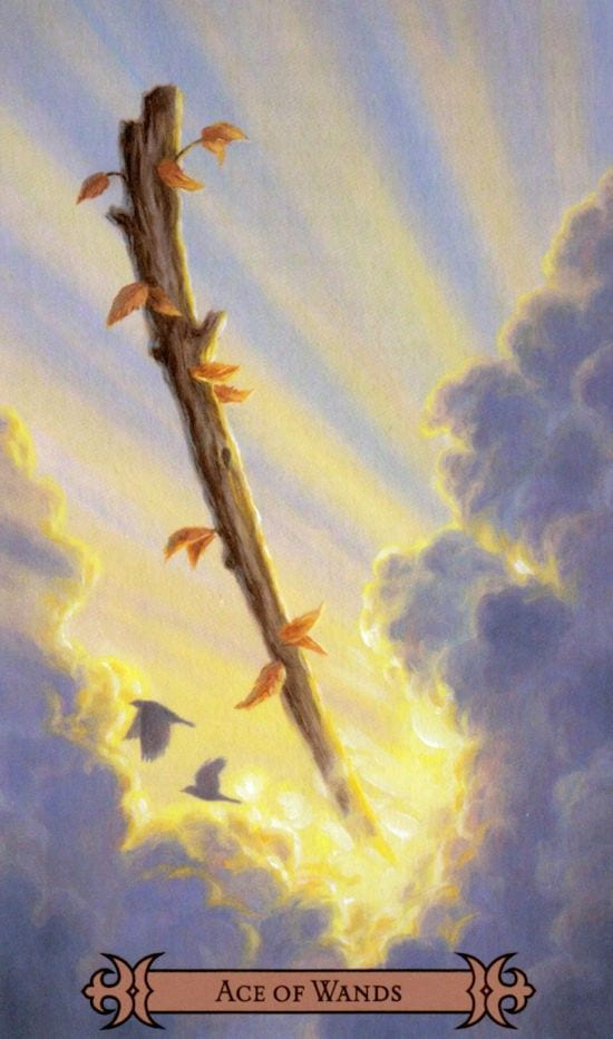 Ace of Wands — Modern Spellcaster's Tarot