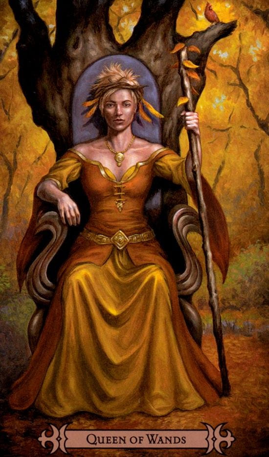 Queen of Wands — Modern Spellcaster's Tarot