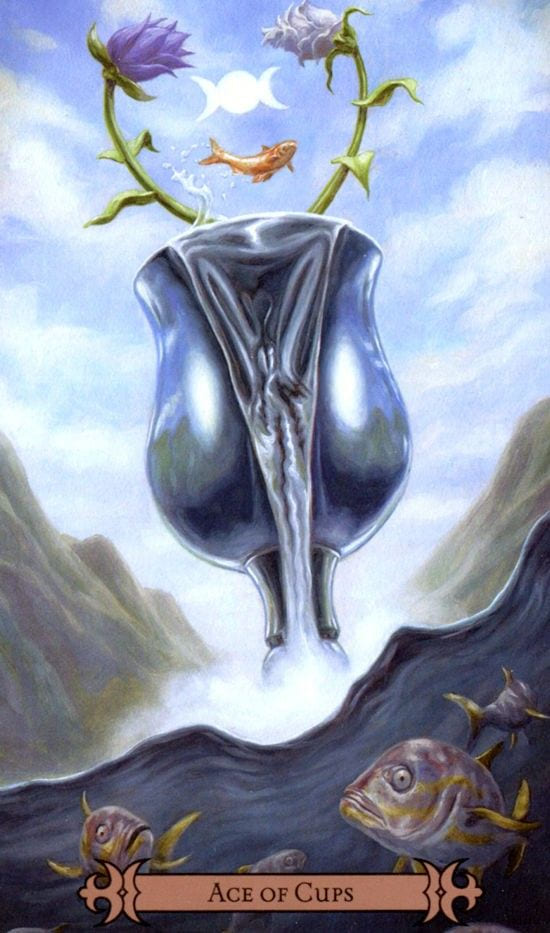 Ace of Cups — Modern Spellcaster's Tarot