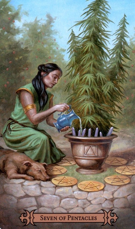 Seven of Pentacles — Modern Spellcaster's Tarot