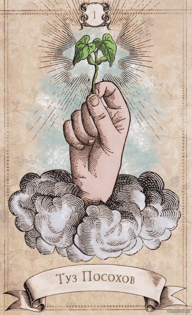 Ace of Wands — Old Style Tarot