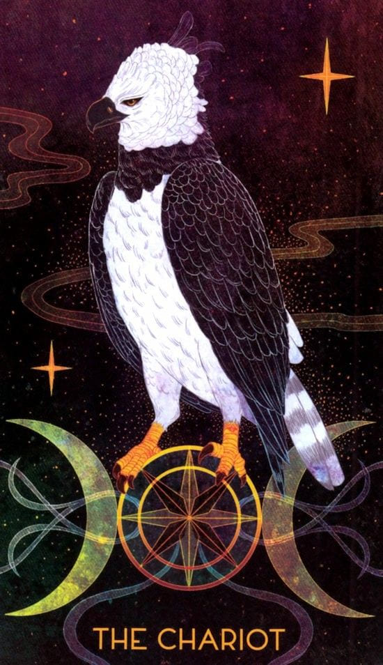 The Chariot — Oriens Animal Tarot