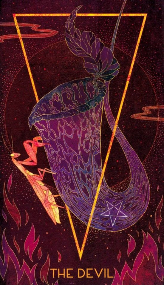 The Devil — Oriens Animal Tarot