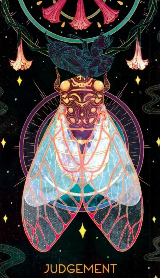 Judgement — Oriens Animal Tarot