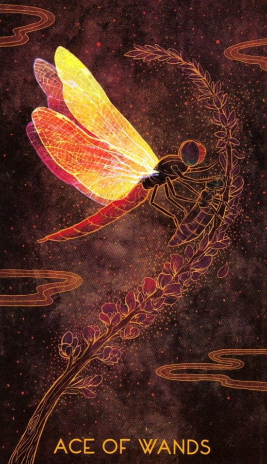 Ace of Wands — Oriens Animal Tarot