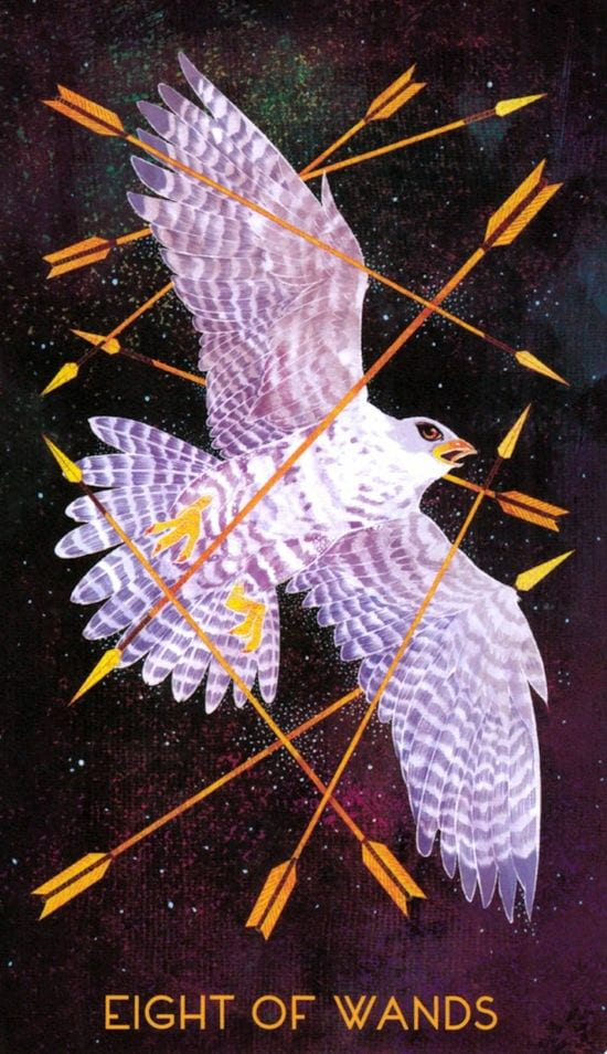 Eight of Wands — Oriens Animal Tarot
