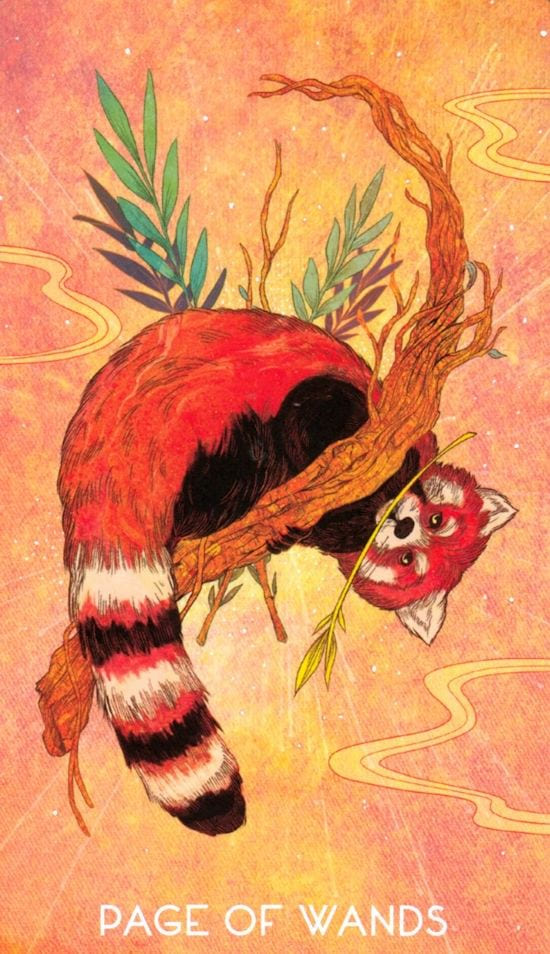 Page of Wands — Oriens Animal Tarot