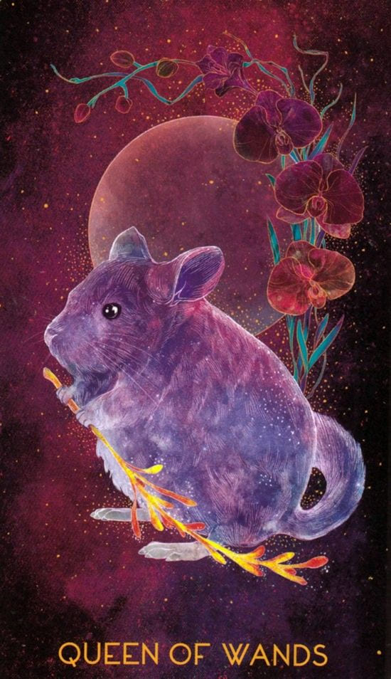 Queen of Wands — Oriens Animal Tarot