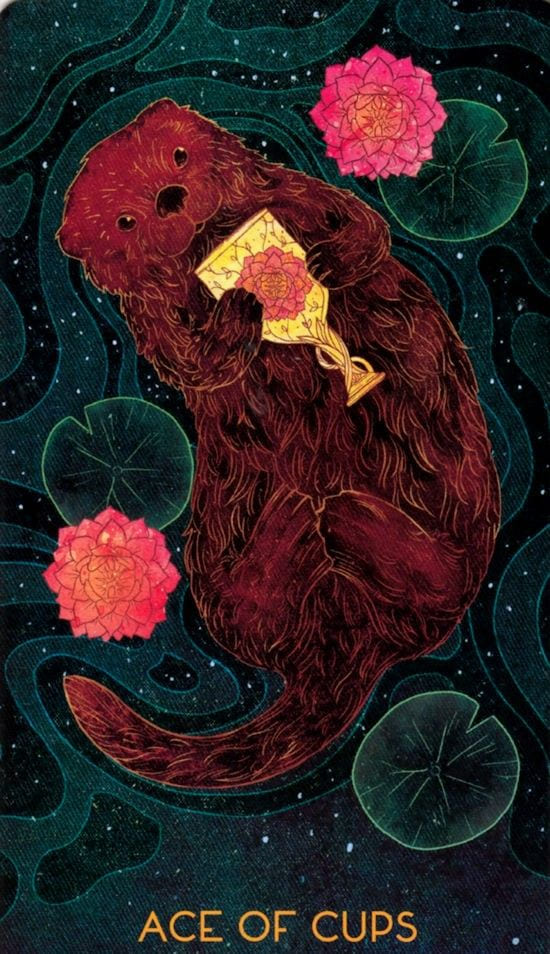 Ace of Cups — Oriens Animal Tarot
