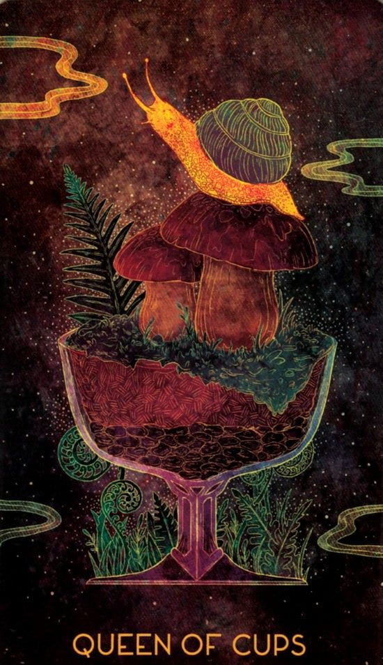 Queen of Cups — Oriens Animal Tarot