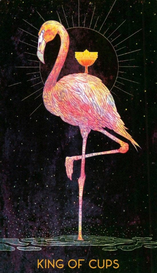 King of Cups — Oriens Animal Tarot