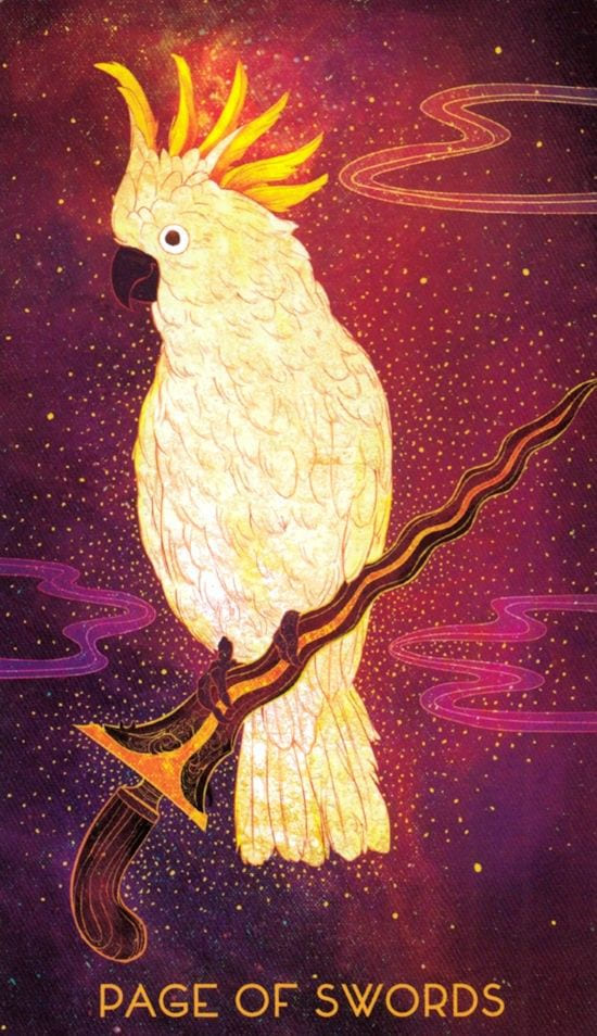 Page of Swords — Oriens Animal Tarot