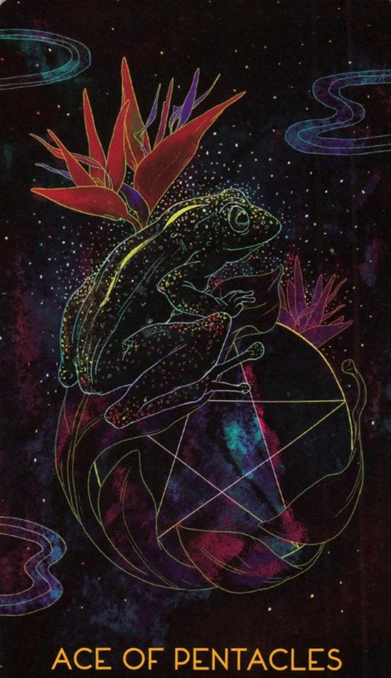 Ace of Pentacles — Oriens Animal Tarot