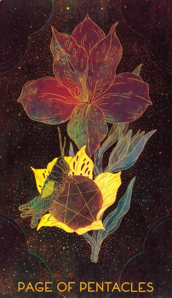Page of Pentacles — Oriens Animal Tarot