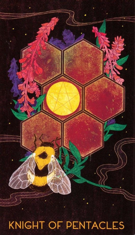 Knight of Pentacles — Oriens Animal Tarot