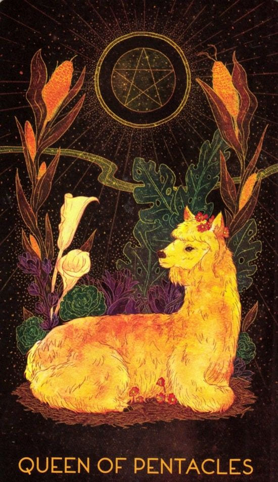 Queen of Pentacles — Oriens Animal Tarot