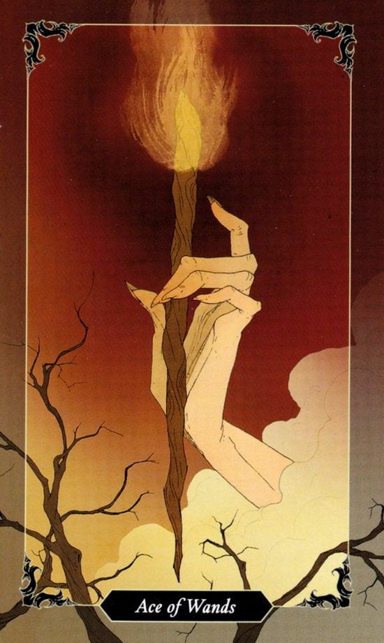 Ace of Wands — Dark Wood Tarot