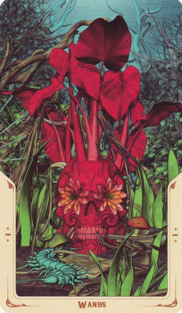 Ace of Wands — Santa Muerte Tarot Card Meanings