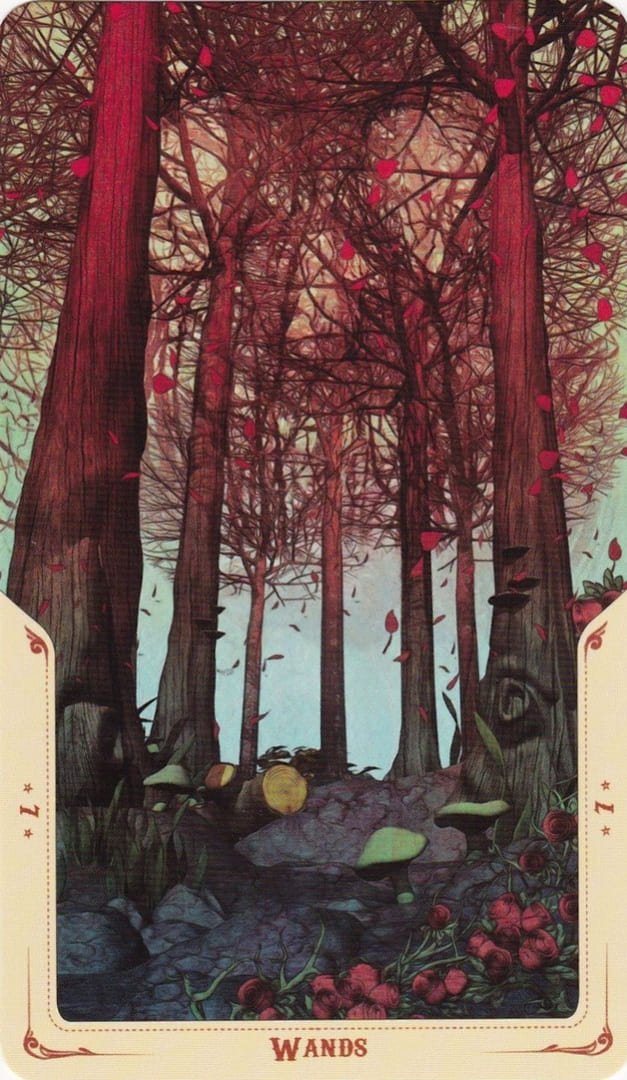 Seven of Wands — Santa Muerte Tarot Card Meanings
