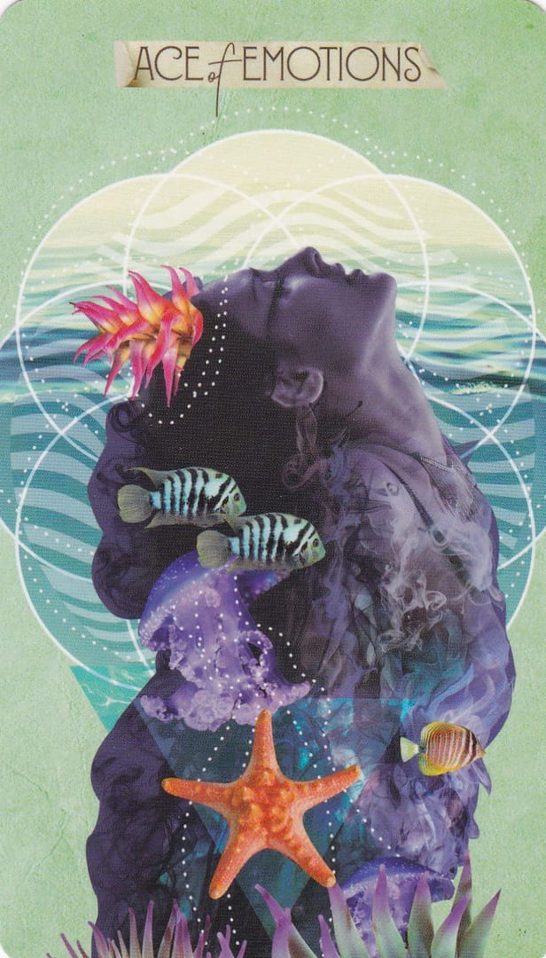 Ace of Cups — The Muse Tarot