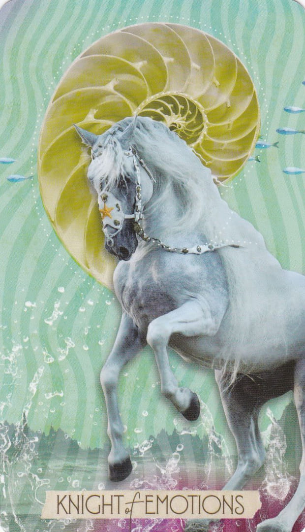 Knight of Cups — The Muse Tarot