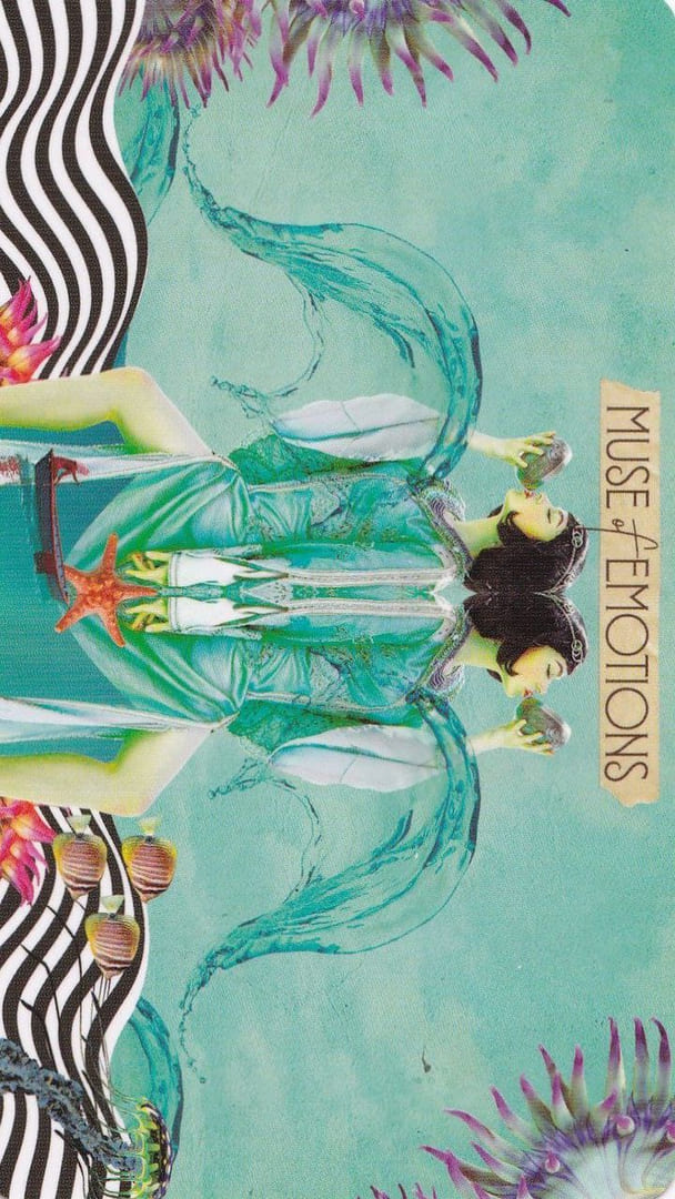 Rey de Copas — Tarot de las Musas