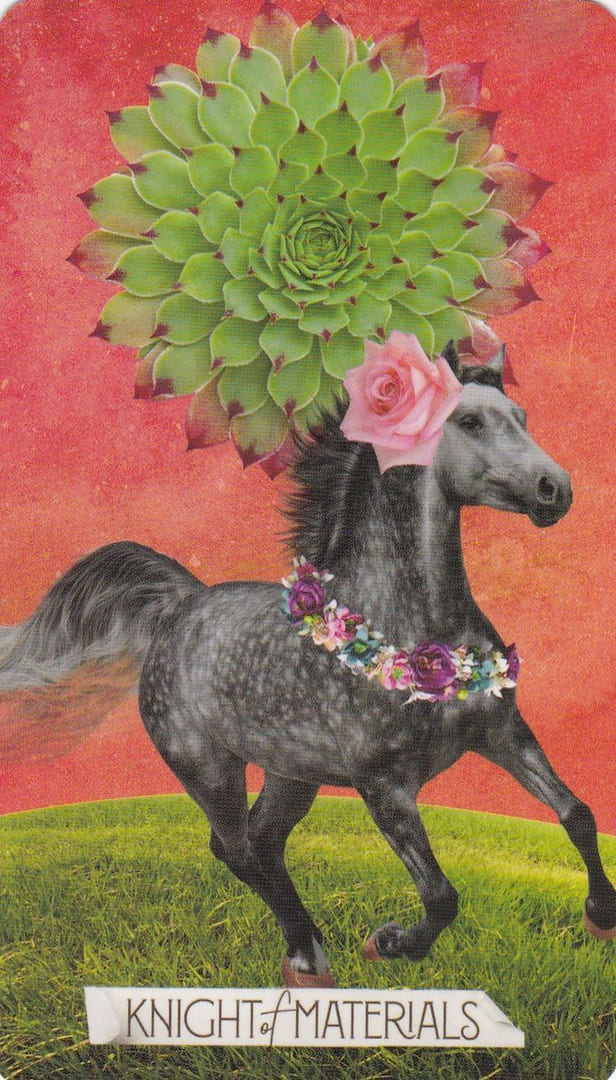 Caballo de Oros — Tarot de las Musas