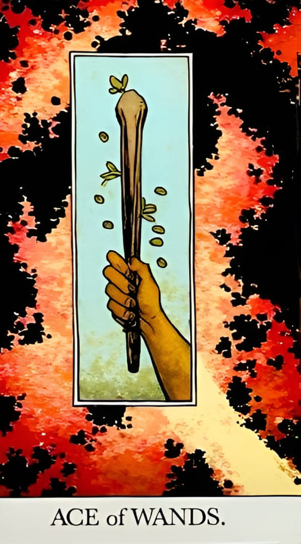 Ace of Wands — The Unveiled Tarot
