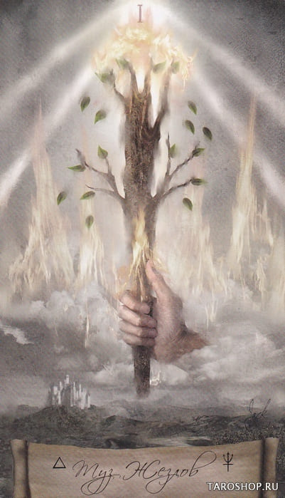 Ace of Wands — Heaven & Earth Tarot