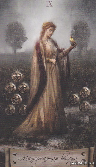 Nine of Pentacles — Heaven & Earth Tarot