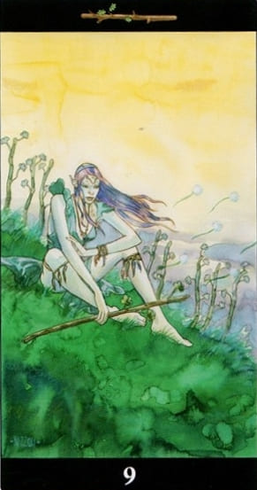 Nine of Wands — Tarot of the Dream Enchantress