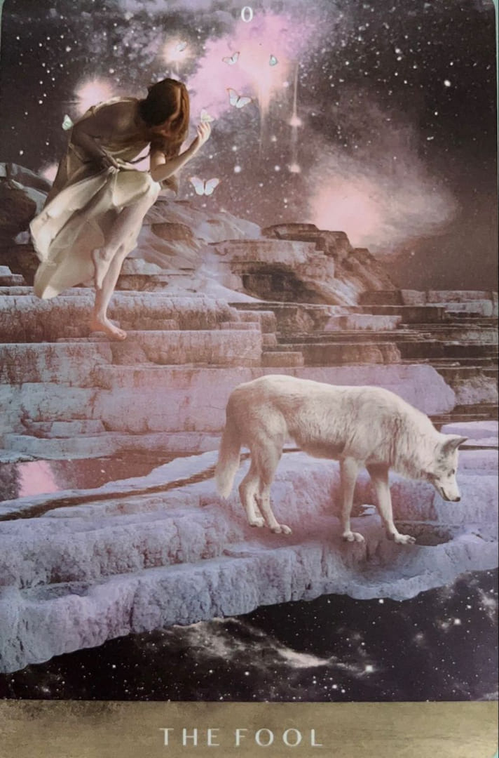 The Fool — The Moonchild Tarot