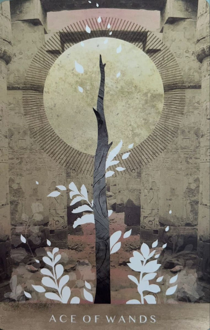 Ace of Wands — The Moonchild Tarot